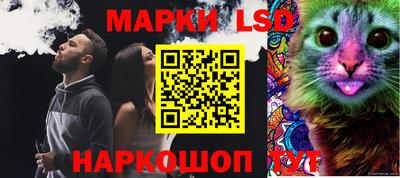 индика Заводоуковск