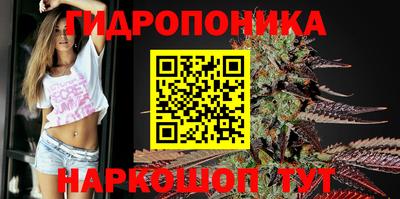 бошки Жуковский
