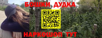 индика Заводоуковск
