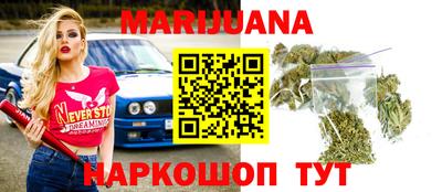 индика Заводоуковск