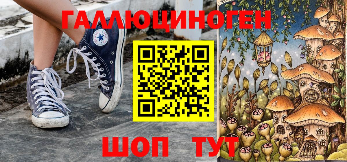 Псилоцибиновые грибы Magic Shrooms Курчалой
