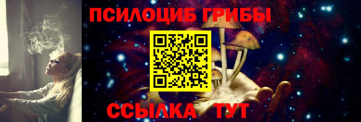 Галлюциногенные грибы Magic Shrooms  Вход с VPN  Псилоцибиновые грибы ЛСД  сколько стоит  Курчалой 